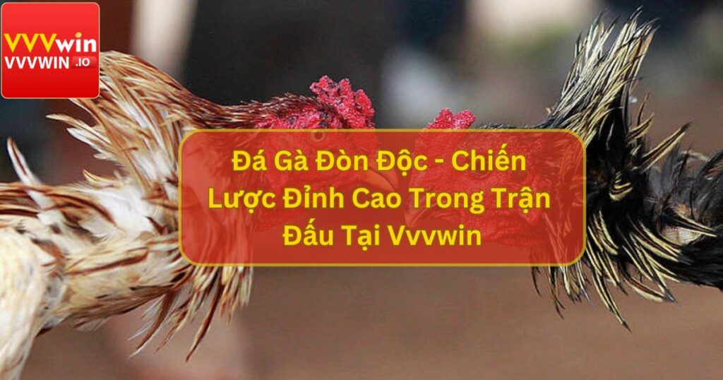 Đá Gà Đòn Độc - Chiến Lược Đỉnh Cao Trong Trận Đấu Tại Vvvwin