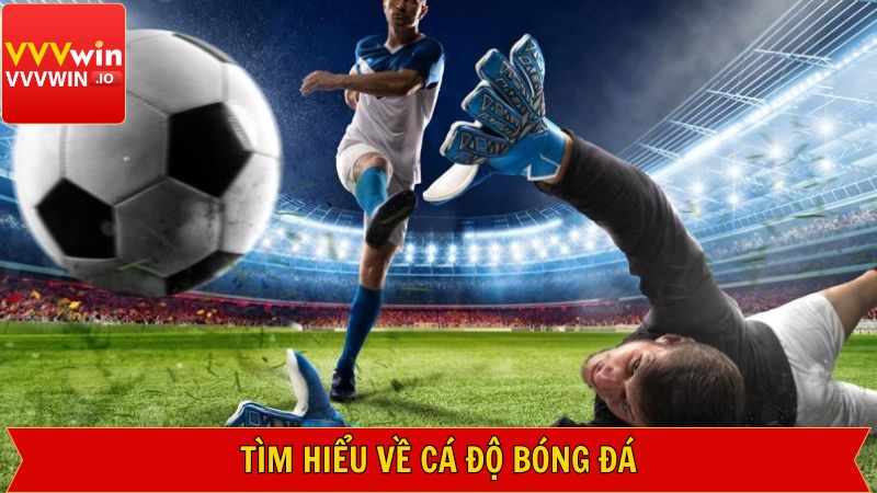Thông tin về hoạt động cá cược trong môn thể thao